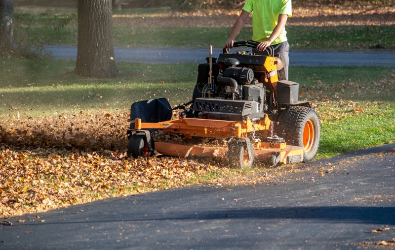 Leaf Removal Machinery
