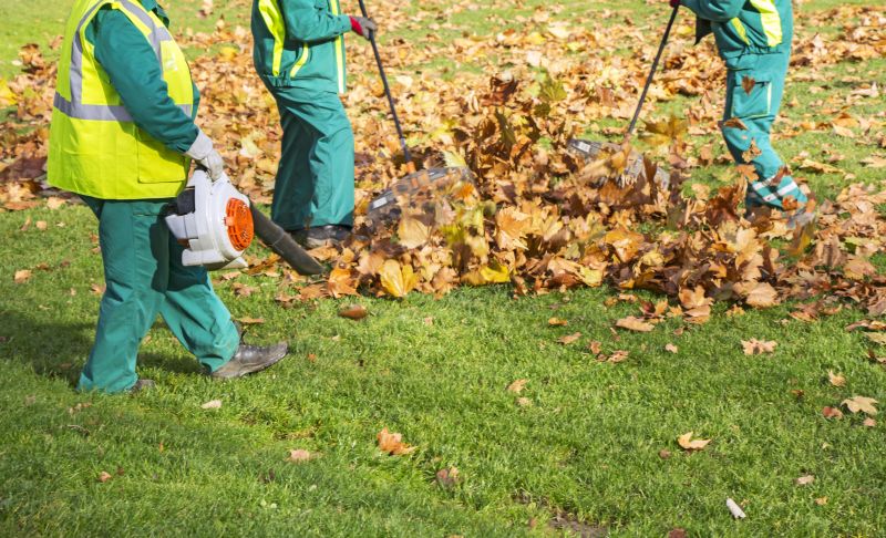 Leaf Raking Service detail