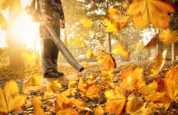 Leaf Blowing Service in Dubuque