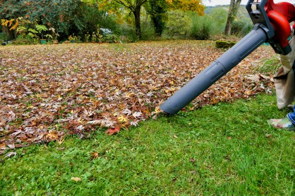 Leaf Vacuuming Service in Dubuque