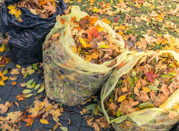 Yard Cleanup Service in Dubuque
