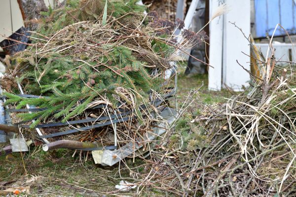 Yard Debris Removal in Dubuque