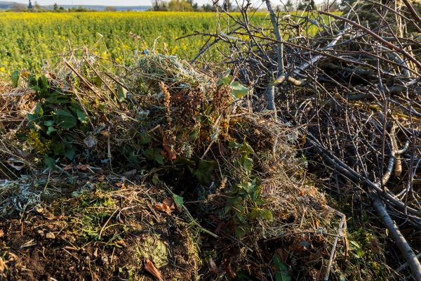 Brush Disposal in Dubuque