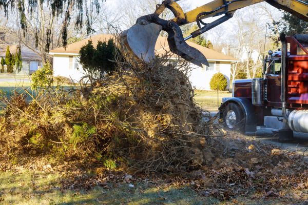 Storm Debris Removal in Dubuque
