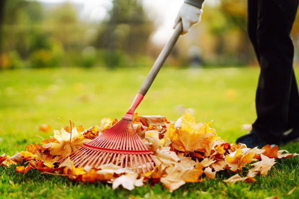 Cost of Ditch Leaf Removal in Dubuque