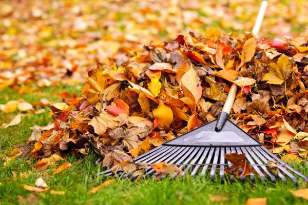 Yard Leaf Removal in Dubuque