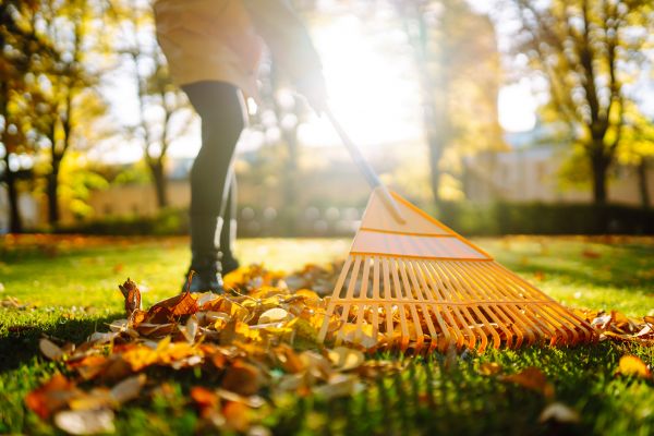 Leaves Raking in Dubuque
