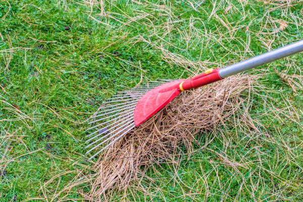 Yard Raking in Dubuque