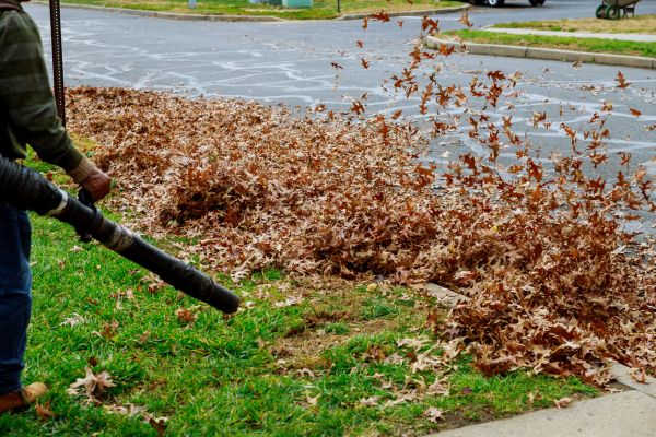 Cost of Garden Leaf Removal in Dubuque