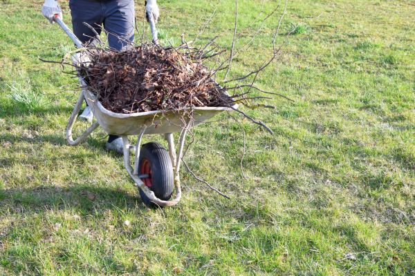 Yard Brush Removal in Dubuque