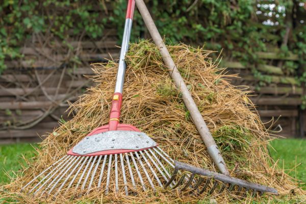 Cost of Pine Straw Clearing in Dubuque