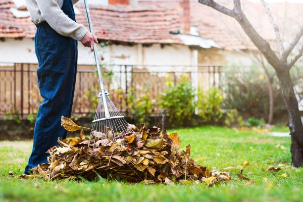 Spring Lawn Cleanup in Dubuque