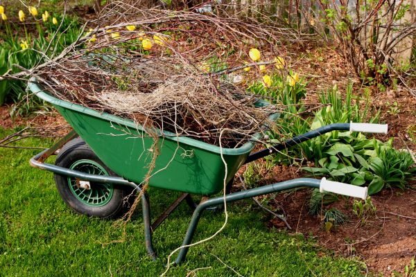 Lawn Waste Removal in Dubuque