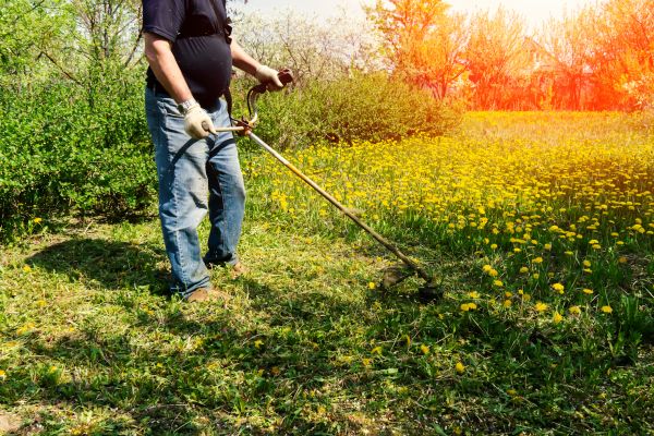 Yard Clearing Service in Dubuque