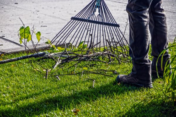 Yard Debris Cleanup in Dubuque