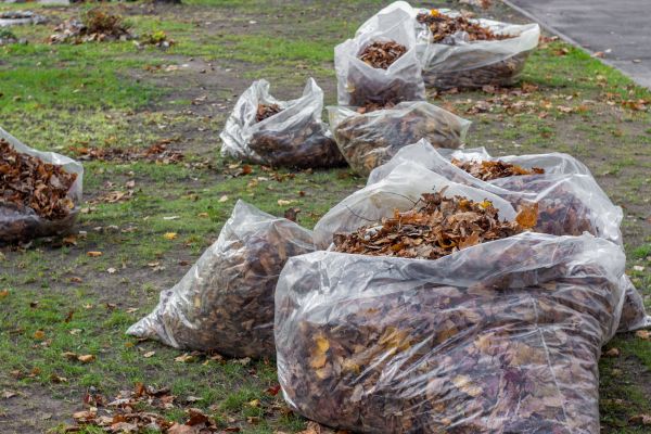 Cost of Leaf Pile Disposal in Dubuque