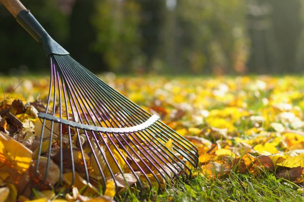 Leaf Removal in Dubuque